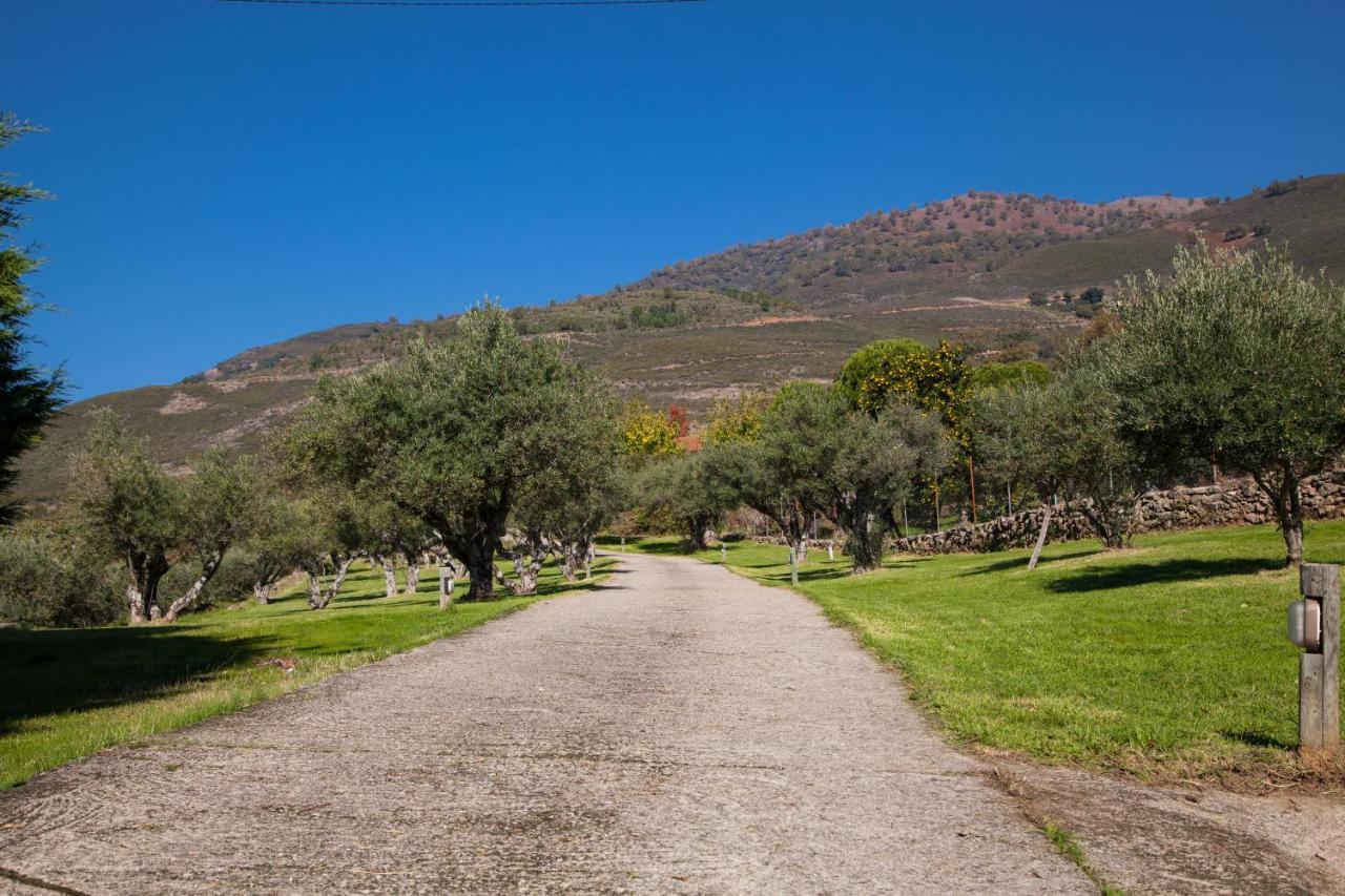 Вілла Finca La Sayuela El Raso Екстер'єр фото