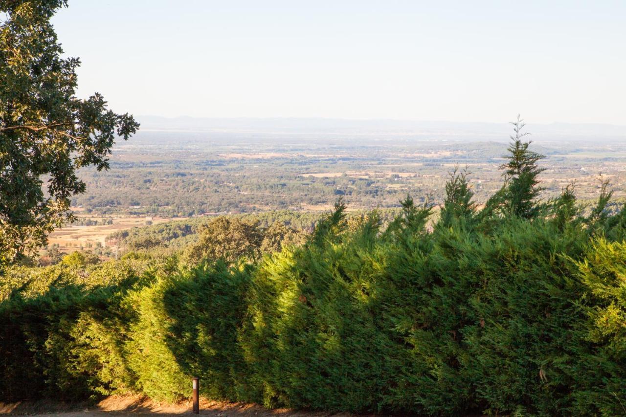 Вілла Finca La Sayuela El Raso Екстер'єр фото