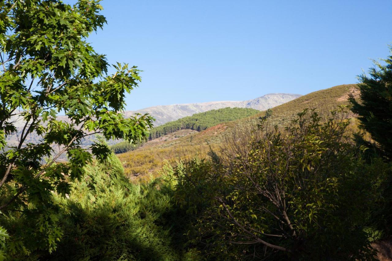 Вілла Finca La Sayuela El Raso Екстер'єр фото