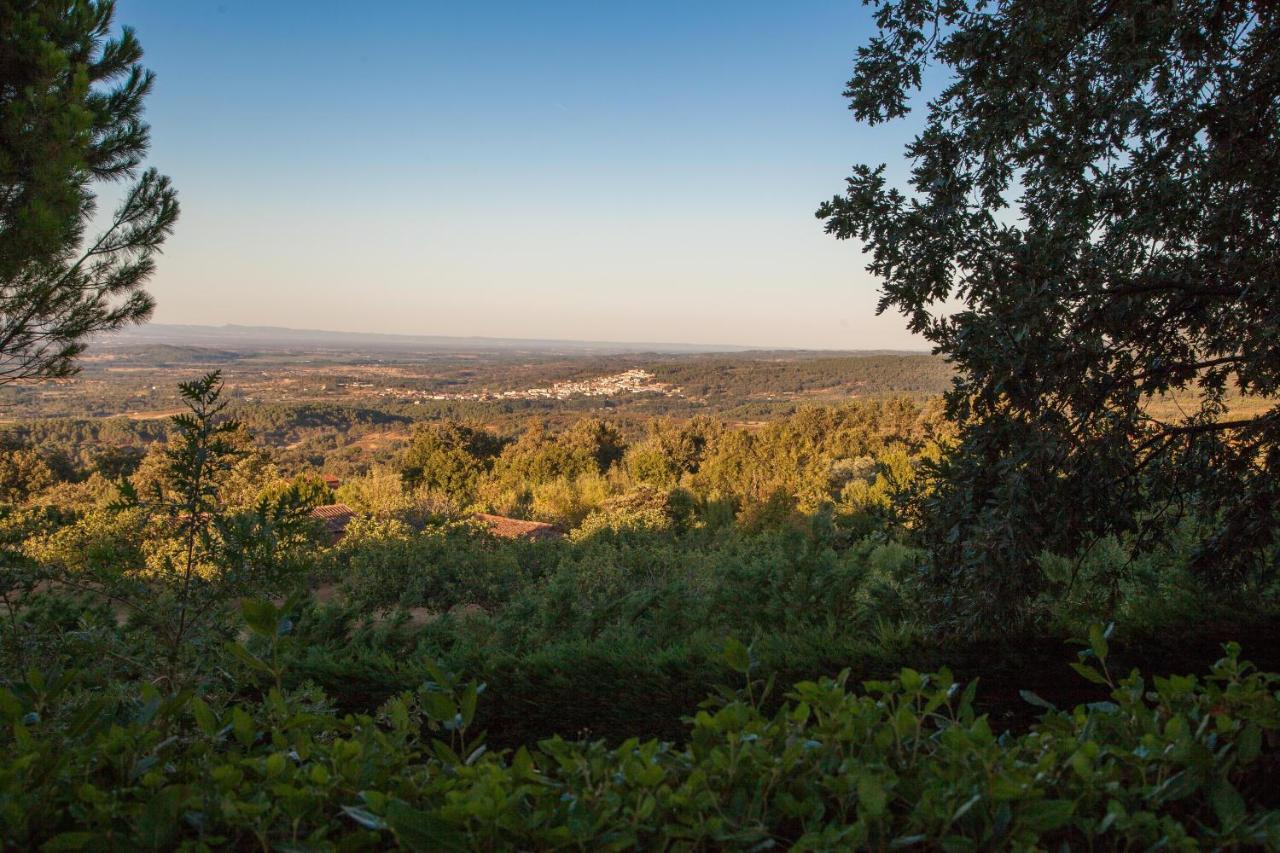 Вілла Finca La Sayuela El Raso Екстер'єр фото